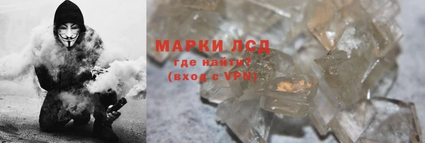 прущие грибы Арсеньев