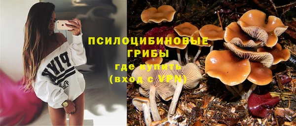 спиды Алзамай