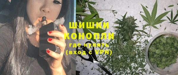 прущие грибы Арсеньев
