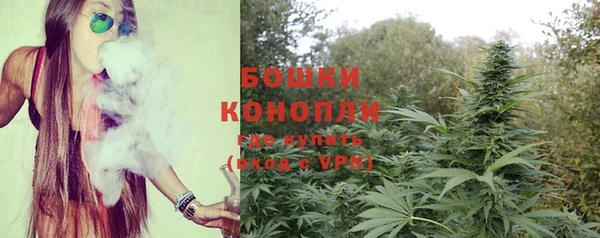 прущие грибы Арсеньев