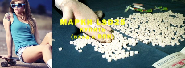 мяу мяу мука Аркадак