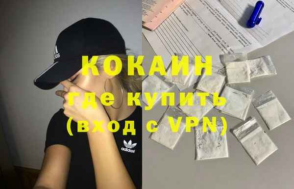 прущие грибы Арсеньев