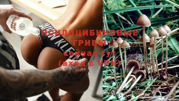 спиды Алзамай